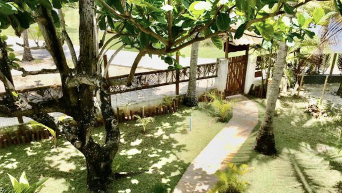Paradise Beach House Imbassai Exterior photo